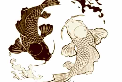 Yin & Yang Yoga